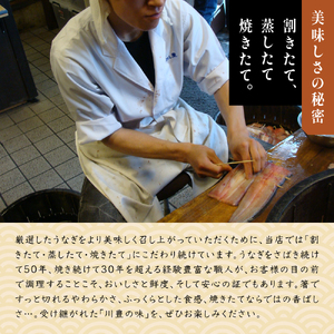 食事券 川豊 うな重 肝吸い セット 1名様 うなぎ 国産うなぎ チケット 券 ギフト券 ペア ペアチケット