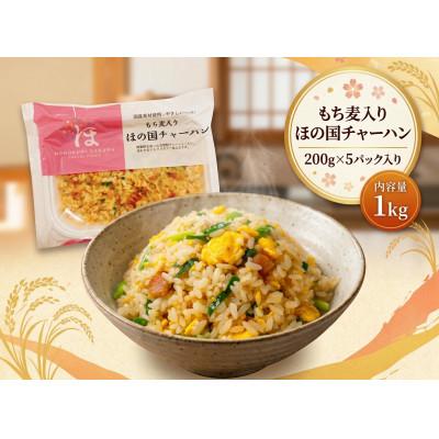 ふるさと納税 豊橋市 【国産】もち麦入りほの国チャーハン 5パック