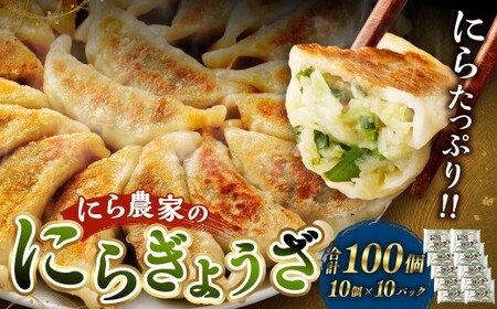 にら農家 ぎょうざ  国産 肉 小分け 惣菜 人気 100個(10個×10パック)