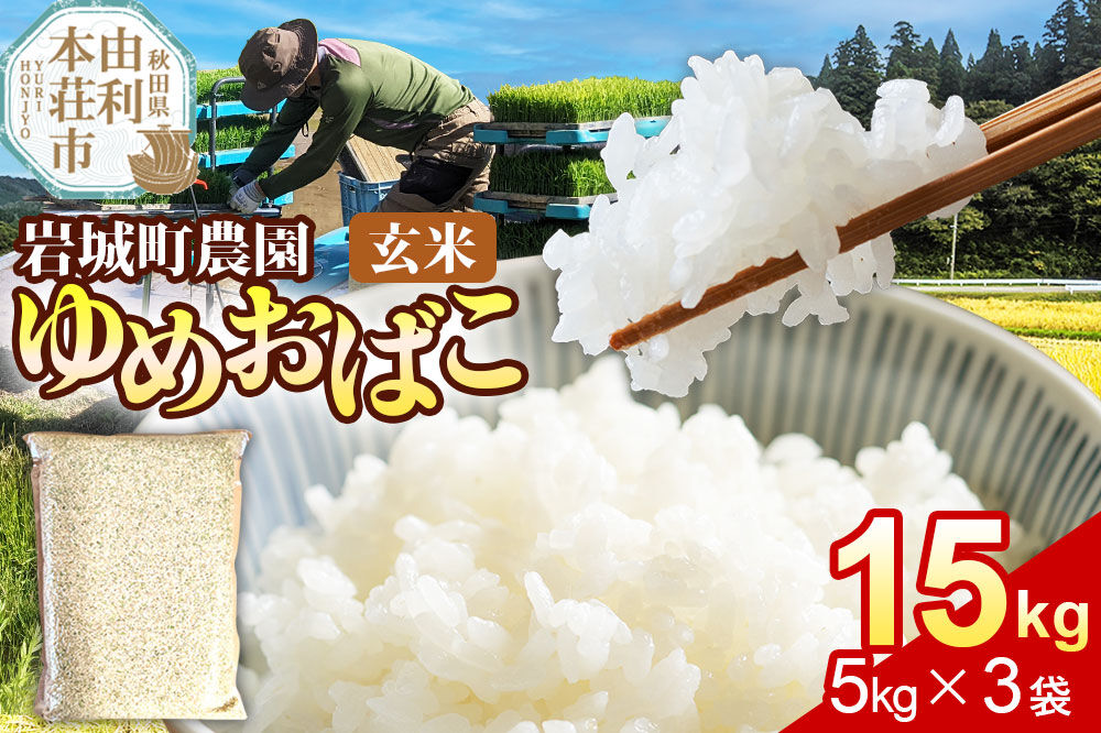 【玄米】ゆめおばこ 秋田県産 岩城町農園のゆめおばこ 15kg（5kg×3袋）令和7年産 真空パック [ゆめおばこ 米 お米 こめ 玄米 食卓 ご飯 ごはん おにぎり 秋田県 由利本荘市]