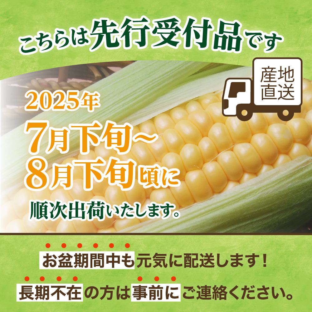 【2025年分先行予約】北海道十勝 芽室町産 朝獲れ とうもろこし 味来 30本 me035-006c-25