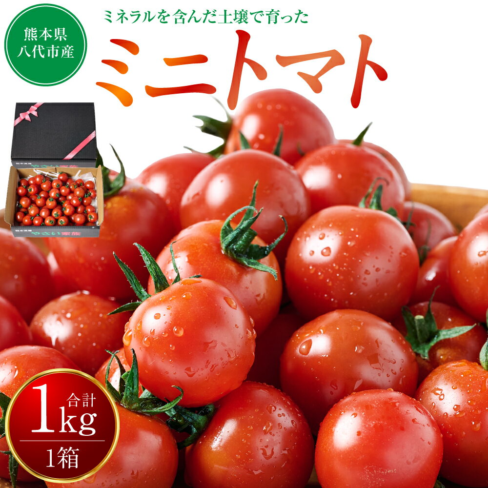 【ふるさと納税】【先行予約】 ミニトマト1kg トマト とまと ミニトマト プチトマト 野菜 やさい 旬の野菜 新鮮な野菜 地元産野菜 旬のやさい 新鮮なやさい ご当地 国産 特産品 お取り寄せ ギフト プレゼント 家庭用 食卓 送料無料 【2025年11月中旬より順次発送】