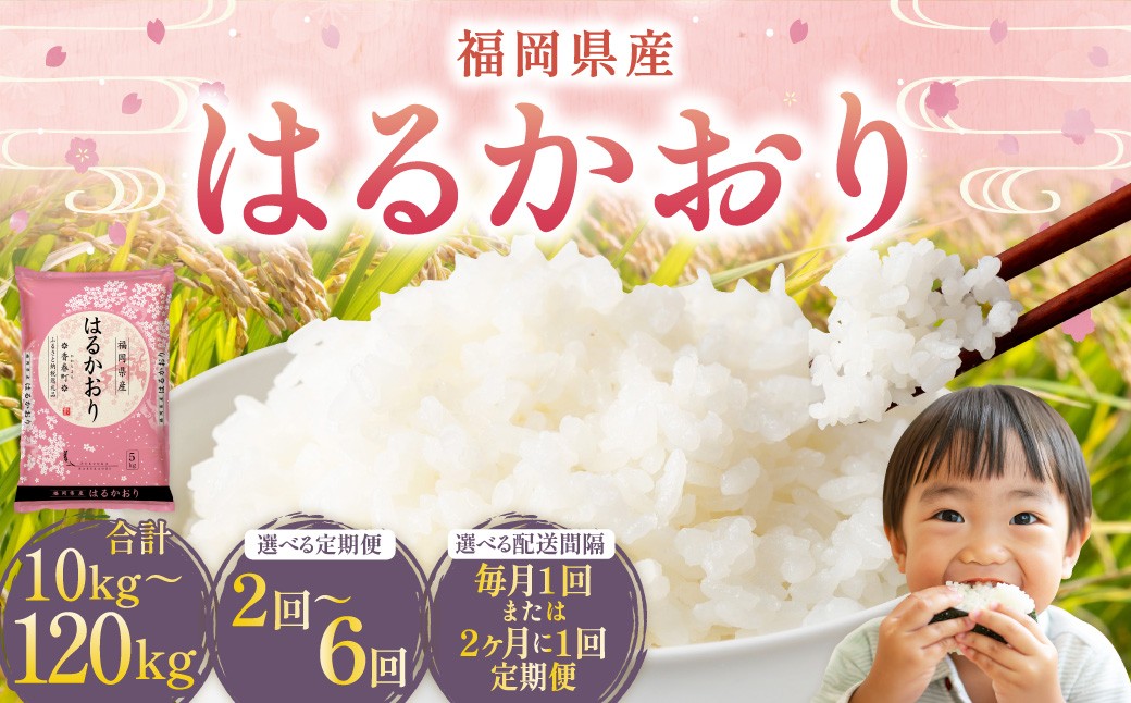 
                  【選べる定期便】 はるかおり ／ 米 コメ お米 ライス ご飯 ごはん 飯 食品 精米 定期便 常温 福岡県 香春町
                