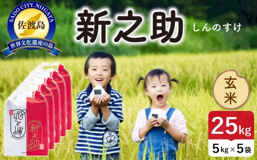 令和8年産 佐渡島産 新之助 玄米25kg | 新潟県産新之助 新潟産新之助 佐渡産新之助 新之助 お米 米 玄米 おこめ コメ 25キロ にいがた さど 新潟県 佐渡市