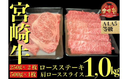 【A4等級以上】宮崎牛 ステーキ＆スライスセット 計1.0kg（内閣総理大臣賞4大会連続受賞 牛肉 黒毛和牛 宮崎牛 ステーキ）