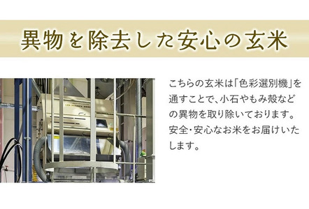 【2026年1月下旬発送】令和7年産 【やわらかく炊ける玄米】つや姫 10kg 米 山形 天童 07-01-178-01C