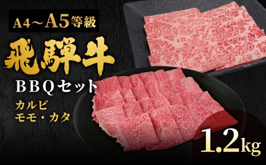 【11月発送】 飛騨牛 A4~A5等級 飛騨牛 BBQセット 計1.2kg (カルビ+もも・カタ焼肉用) 岐阜県産 A4 A5 焼肉 詰め合わせ 黒毛和牛 カルビ もも かた 赤身 牛肉 牛 国産 お取り寄せ 自宅用 和牛 大容量 小分け 最短発送 肉のひぐち