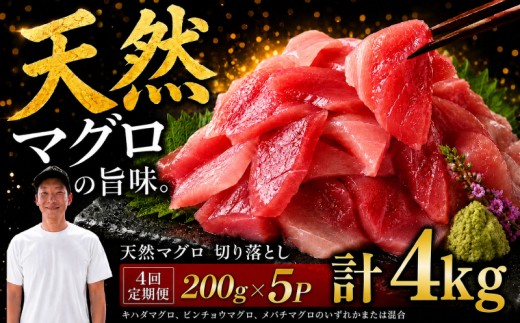 【4回定期便】天然マグロ切り落とし 200g×5P│天然マグロ 切り落とし 刺身 マグロ丼 冷凍 高知県 ふるさと納税 キハダマグロ ビンチョウマグロ メバチマグロ 海鮮 お取り寄せ グルメ 時短 簡単調理 解凍するだけ 一口サイズ 手巻き寿司 具材 ユッケ カルパッチョ 漬け丼 おかず おつまみ ギフト 贈答 贅沢 人気 おすすめ 産地直送 新鮮 晩酌 魚介