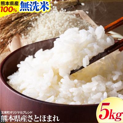 ふるさと納税 玉東町 熊本県産 さとほまれ 無洗米 ご家庭用 5kg 《7-14日以内に出荷予定(土日祝除く)》