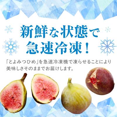 ふるさと納税 宗像市 プレミアムいちじく「とよみつひめ」冷凍いちじく 大容量2kg【JAほたるの里】_HA0279 |  | 02