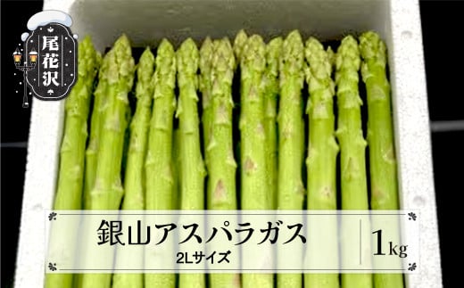 銀山アスパラガス 2Lサイズ(極太) 1kg 令和7年産 2025年産 アスパラ アスパラガス 銀山アスパラ グリーンアスパラガス 山形県 山形 尾花沢市 尾花沢 nk-vga2x1