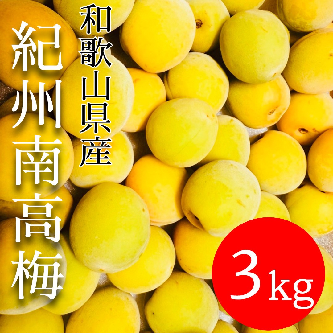 
                  黄色～完熟梅 南高梅 3kg
                