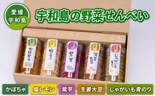 煎餅 せんべい 5種 詰め合わせ セット 野菜せんべい 企業組合 津島 あぐり工房 塩レモン かぼちゃ 生姜大豆 じゃがいも 青のり 手作り 餅粉 煎餅 セット レモン 檸檬 南瓜 生姜 大豆 じゃがいも のり 芋 いも 菓子 お菓子 おやつ 国産 愛媛 宇和島 J012-066002