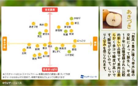 ※先行予約※ かまがや梨 【豊水 あきづきなど旬な梨をお届け】 約3kg