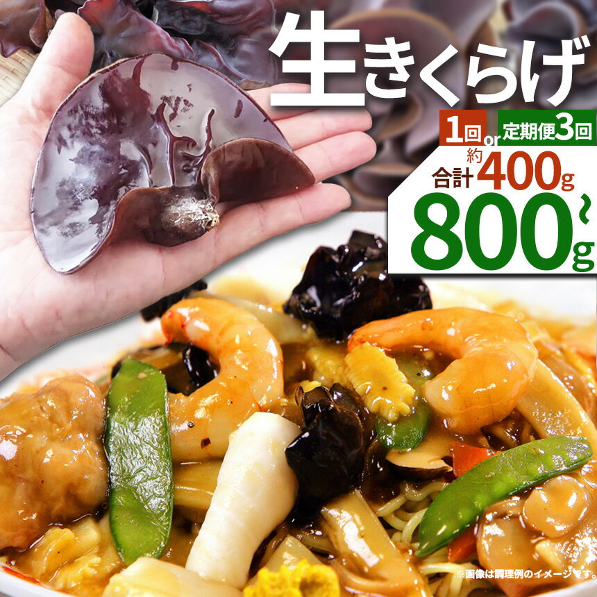 【ふるさと納税】【選べる定期便】【先行予約】【期間限定】【選べるピース数】生きくらげ 200g ともちゃん農園 | 生きくらげ きくらげ 食物繊維 鉄分 カルシウム ビタミンD カリウム アミノ酸 低カロリー ダイエット中でも安心 高血圧予防 ふるさと 納税栃木県 那珂川町