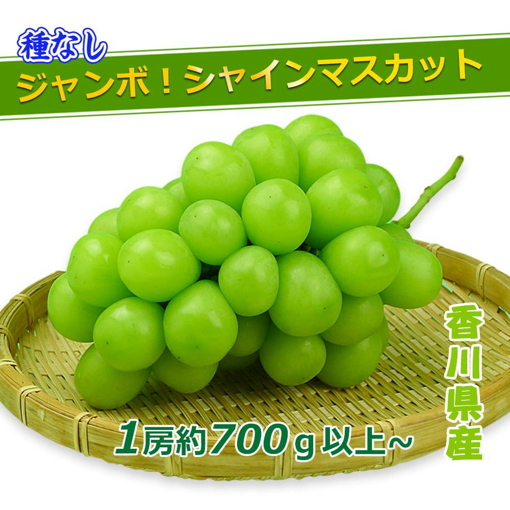 【ふるさと納税】《2026年発送》特秀品シャインマスカット ( 1房 約700g以上 ) ぶどう マスカット 香川県産 | フルーツ 果物 くだもの 食品 人気 おすすめ 送料無料
