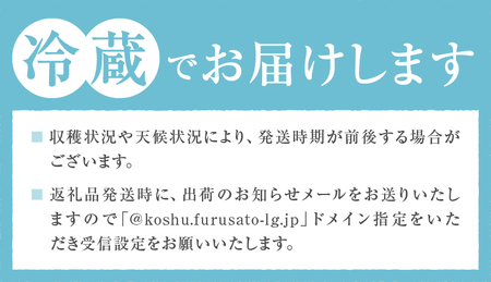 甲州市産 大玉貴陽 3個入り 約800g 自然農法【2025年発送】（BNC）B-488【貴陽 すもも もも モモ 令和7年発送 期間限定 山梨県産 甲州市 フルーツ 果物】