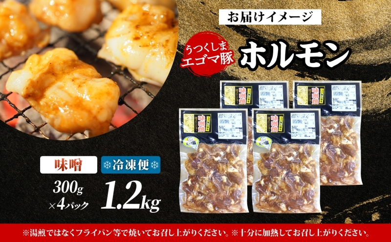 大沼亭 市場直営店 ホルモン 味噌 みそ 約1.2kg ホルモン焼き 豚ホルモン 豚ホル ぷるぷる とろける 食感 お酒のお供 おつまみ おかず ごはんのお供 冷凍 うつくしまエゴマ豚 お取り寄せグル