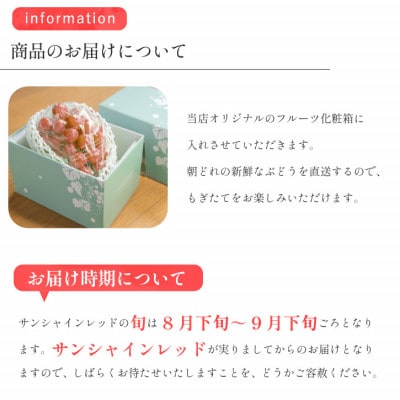 【数量限定】山梨県産 希少品種「サンシャインレッド」2房約1kg  化粧箱入 赤いシャインマスカット【配送不可地域：離島・沖縄県】