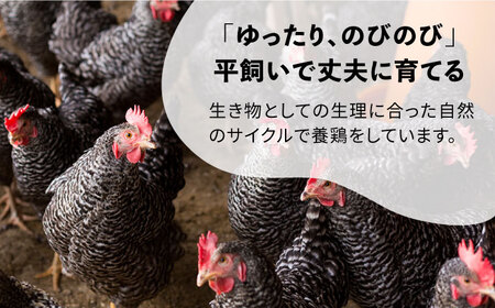 【全12回定期便】金太郎鶏 ミンチ 1kg（200g×5パック）＜有限会社 フジノ香花園＞那珂川市 ミンチ [GAM030]