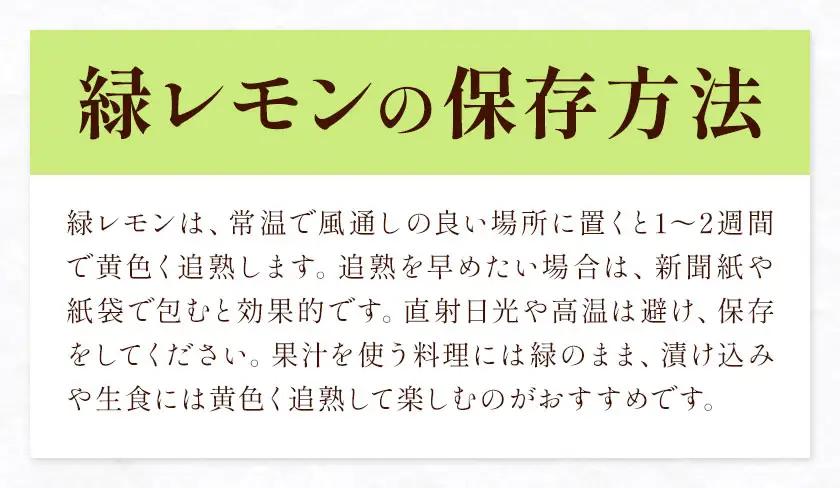レモン 秀品 緑色 10kg 株式会社農業福祉研究機構