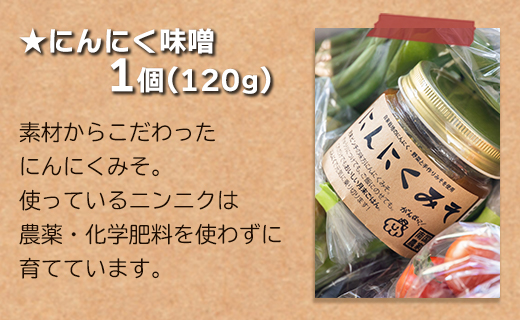 農薬不使用のお野菜8品とにんにく味噌のセット - やさい 詰め合わせ 詰合せ 旬の野菜 土佐野菜 10～13種類 季節品 お楽しみ おまかせ お任せ おまかせ ミソ みそ 調味料 特産品 国産 高知県