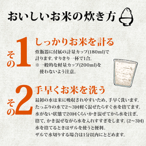京都山城産ヒノヒカリ5kg 令和7年産　【米】
