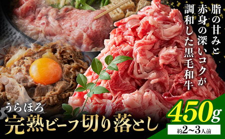 黒毛和牛 うらほろ完熟ビーフ 切り落とし 450g 一般社団法人十勝うらほろ樂舎 《2026年2月出荷開始 30日以内に出荷予定(土日祝除く》 北海道 浦幌町 黒毛和牛 国産牛 切り落とし肉 うらほろ完熟ビーフ 十勝 浦幌和牛 熟成