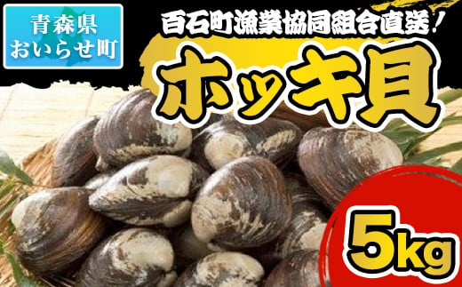 百石町漁業協同組合直送！ホッキ貝 5kg （2025年1月発送） 【 ふるさと納税 人気 おすすめ ランキング 5kg 生もの ホッキ ほっき ホッキ貝 ほっき貝 冷蔵 漁協直送 ブランド認定 ブランド 奥入瀬  北寄貝 クール便 冷蔵便 青森県 おいらせ町 送料無料 】 OIQ101-b