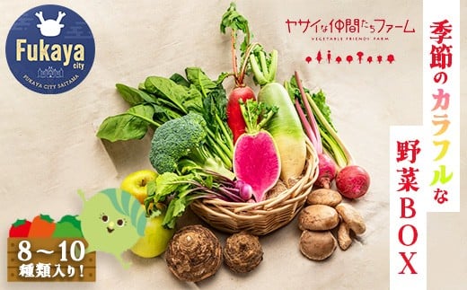 季節のカラフルなヤサイBOX（8～10種類）　【11218-0770】