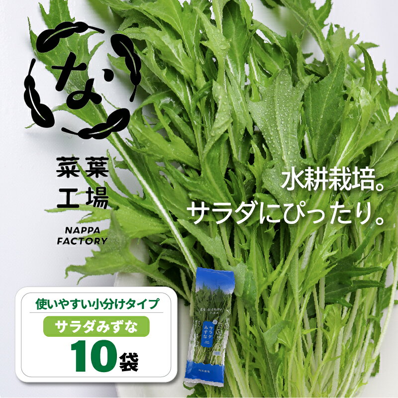 【ふるさと納税】 葉野菜 サラダ みずな | ほうれんそう ホウレンソウ 水菜 ミズナ 生食 野菜 セット 新鮮 健康 人気 おすすめ 高知県 南国市