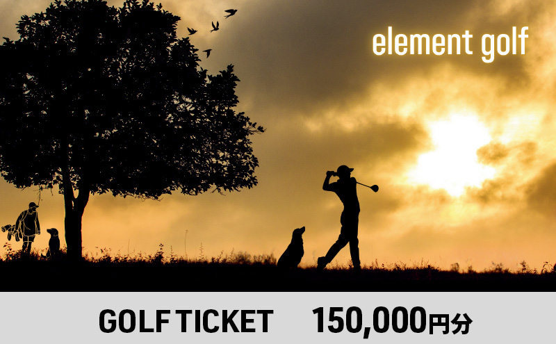 【150,000円分】 elementgolf ゴルフチケット (ゴルフクラブ作成、修理・調整、フィッティング) エレメントゴルフ × 名古屋外国語大学コラボデザインチケット ゴルフ ゴルフクラブ 愛知 日進市