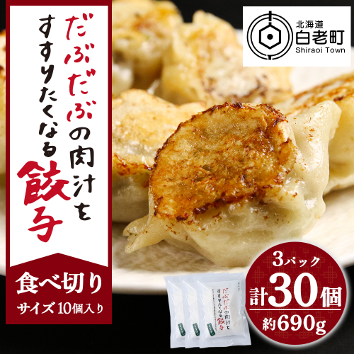 だぶだぶの肉汁をすすりたくなる餃子 30個（10個入×3パック）