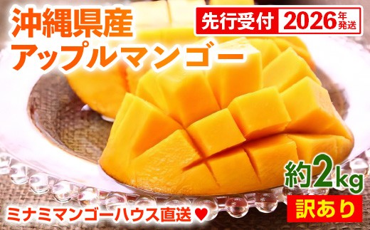 
                  【先行受付】【2026年発送】ミナミマンゴーハウスの訳ありアップルマンゴー 約2kg - 訳あり 先行予約 沖縄県産 産地直送 南国フルーツ 旬の味覚 季節の果物 ご自宅用 訳アリ 沖縄マンゴー 沖縄県 八重瀬町
                