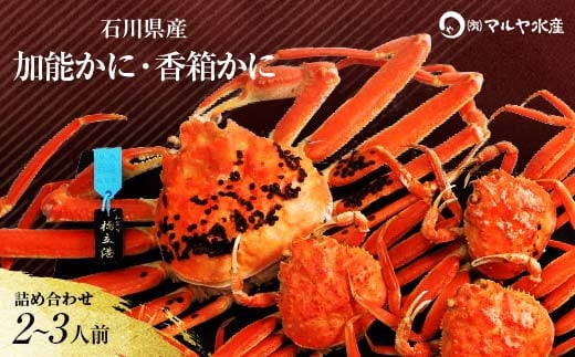 
            【時期が選べる】【先行予約】【冷蔵発送】石川県産 加能かに/ズワイガニ ( 産地証明タグ付 ) 大サイズ 1匹 + 香箱かに 3匹 詰合せ ( 2～3人前 )  食べ比べセット ズワイガニ ずわいがに 先行予約 予約 ブランド蟹 ボイル 茹で 蟹 かに 復興 震災 コロナ 能登半島地震復興支援 北陸新幹線 F6P-0678 クラウドファンディング 実施中 GCF
          
