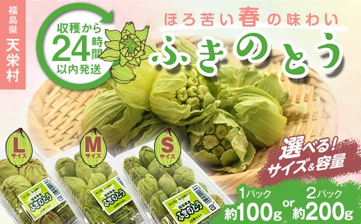 
                  【選べるサイズ・容量】収穫から24時間以内に発送！ほろ苦い春の味わい「ふきのとう」S・M・Lサイズ 1パック100g・2パック200g 野菜 食品 F21T-346var
                