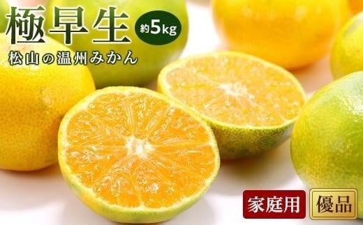 【先行予約】【2025年10月中旬から発送予定】温州みかん「極早生」＜優品・家庭用＞約5kg （ 愛媛産 愛媛県産 国産 愛媛みかん 愛媛蜜柑 愛媛ミカン みかん ミカン mikan 蜜柑 柑橘 フルーツ 果物 くだもの お取り寄せ 産地直送 数量限定 人気 おすすめ 愛媛県 松山市 送料無料 ）
