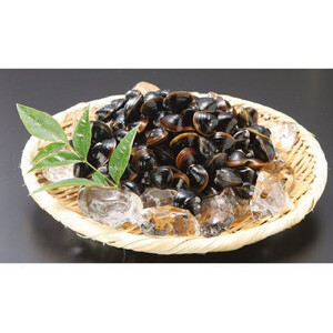 神西湖産 大和 しじみ 約1.2kg (250g×5パック）| しじみ