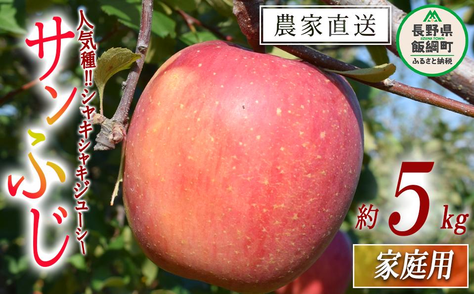 
            りんご サンふじ 家庭用 5kg 山岸ファーム 沖縄県への配送不可 2025年12月上旬頃から2025年12月下旬頃まで順次発送予定 令和7年度収穫分 信州 果物 フルーツ リンゴ 林檎 長野 13500円 予約 農家直送 長野県 飯綱町 [1153]
          