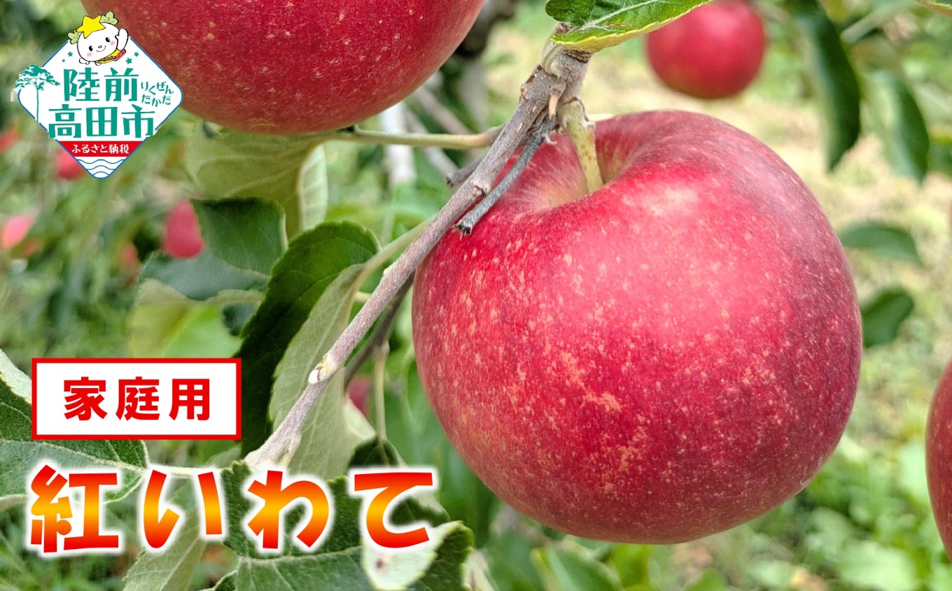 
                  【先行予約】 家庭用 あま～くてもぎたての米崎りんご 品種：紅いわて 内容量が選べる 3kg 5kg 10kg 【 岩手県オリジナル品種 数量限定 米崎りんご 訳あり 果物 フルーツ 】 RT3041
                