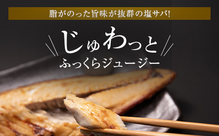 【訳あり】木更津魚市場直送！不揃い塩サバフィーレ 2.5㎏以上 / 塩サバ 塩さば 塩鯖 サバ さば 鯖 塩サバフィレ 塩サバ 塩さば 塩鯖 サバ さば 鯖 塩サバ 塩さば 塩鯖 サバ さば 鯖 塩サ