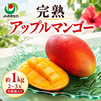 【ふるさと納税】【2026年6月中旬から順次発送・優品】完熟アップルマンゴー約800g(2玉～3玉)【配送不可地域：離島】【1390897】
