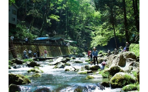 
日本の滝 100選 浄蓮の滝 あまご釣り 渓流釣り 体験 チケット 安心編 2名様 （ 竿・えさ等オール込）【あまご 釣り体験 体験 伊豆市 静岡県】B-057
