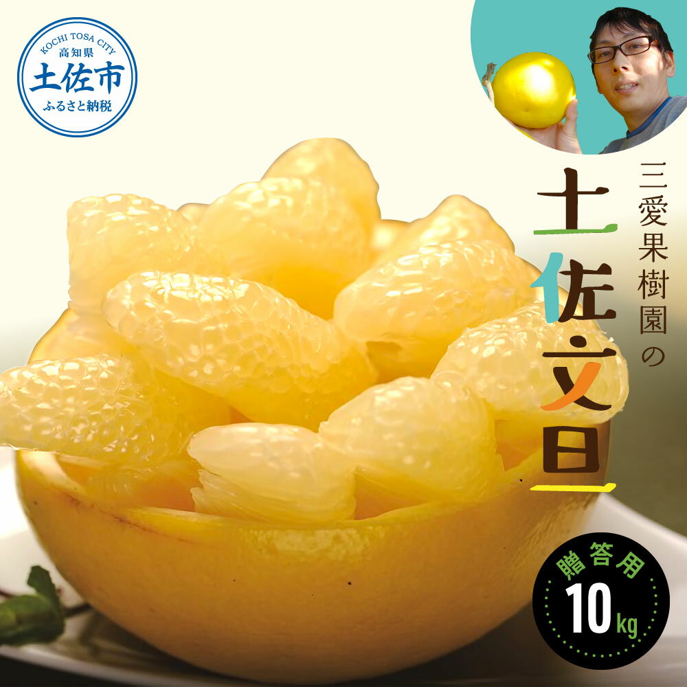 【ふるさと納税】【先行予約】三愛果樹園の土佐文旦　贈答用　約10kg / 土佐文旦 みかん 柑橘 ぶんたん ブンタン 果物 フルーツ 〈2027年2月上旬から順次発送〉【三愛果樹園】[BQAO008]