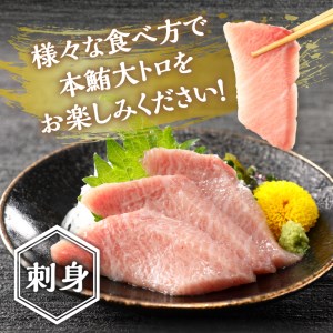 a20-373　焼津 本マグロ 大トロ 1本約250g 冷凍 F1