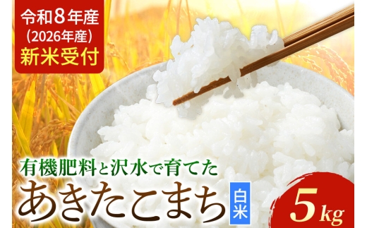 《令和8年産 新米受付》 あきたこまち 秋田県大仙市産  有機肥料と沢水で育てたあきたこまち 白米5kg（1袋） [新米 先行受付 令和8年 米 あきたこまち お米 こめ ブランド米 玄米 米どころ 有機肥料 沢水 秋田 秋田県産 大仙市 5kg]