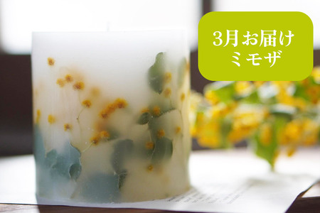 《定期便全4回》配送月固定 ボタニカル キャンドル  全4個（1個×4回お届け）【3ヶ月に1回お届け 3月 6月 9月 12月】