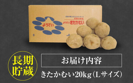 【2025年1月以降順次発送】 じゃがいも きたかむい 20Kg《喜茂別町》【Aコープようてい】 ジャガイモ 野菜 季節の野菜 詰め合わせ 北海道 産地直送 [AJAK013]