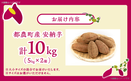 ≪期間限定≫都農町産安納芋(計10kg) 野菜 芋 イモ 国産_T016-002【さつま芋 さつまいも 焼き芋 さつまいも 蜜芋 さつまいも スイートポテト さつまいも 甘い さつまいも スイーツ さ