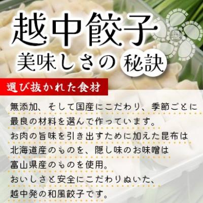 ふるさと納税 富山県 氷見牛入り越中餃子　3パック(48個入り) |  | 01